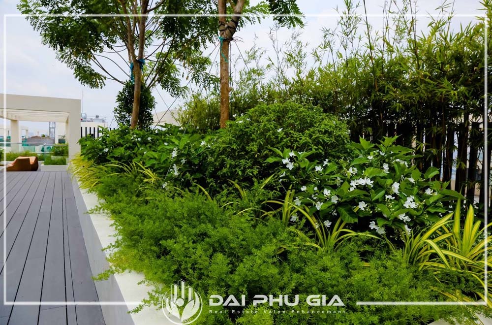 Lựa Chọn Cây Trồng Phù Hợp Với Mục đích Của Gia Chủ