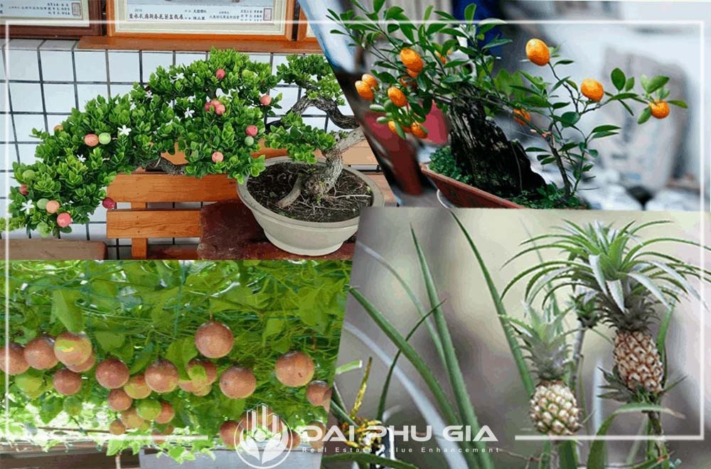 Trồng Cây Có Hoa Hương Thơm, Có Trái