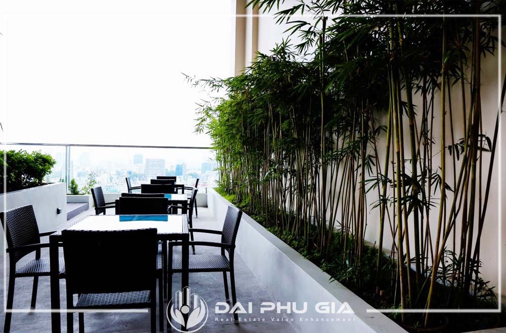 Trồng Dãy Cây Xanh Che Mát Mảng Tường Bê Tông