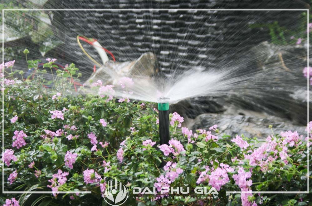 Tưới Nước để Giúp Cây Quang Hợp đầy đủ