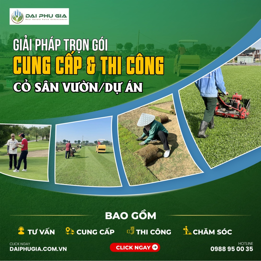 GiẢi PhÁp TrỌn GÓi 1 Min