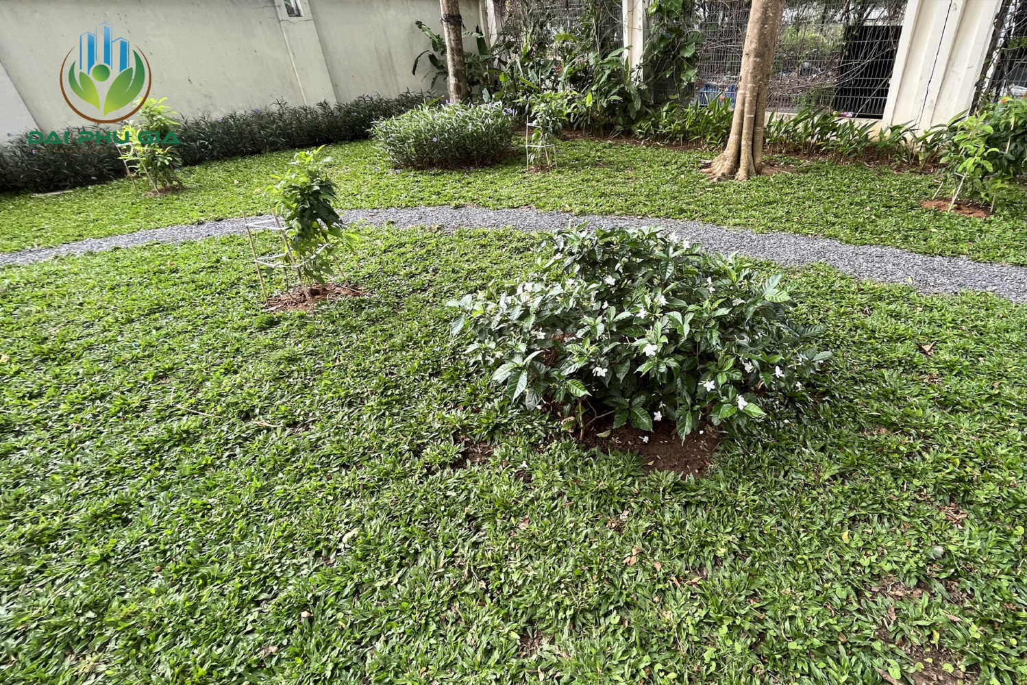 Bảo Dưỡng Cảnh Quan Sân Vườn 1