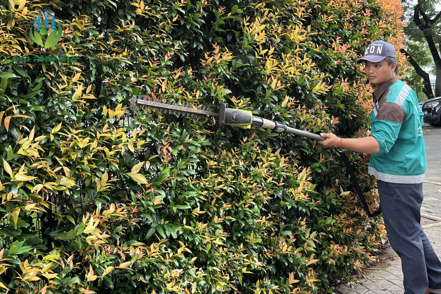 Bảo Dưỡng Cảnh Quan Sân Vườn 10 Bảo Dưỡng Cảnh Quan Sân Vườn 10