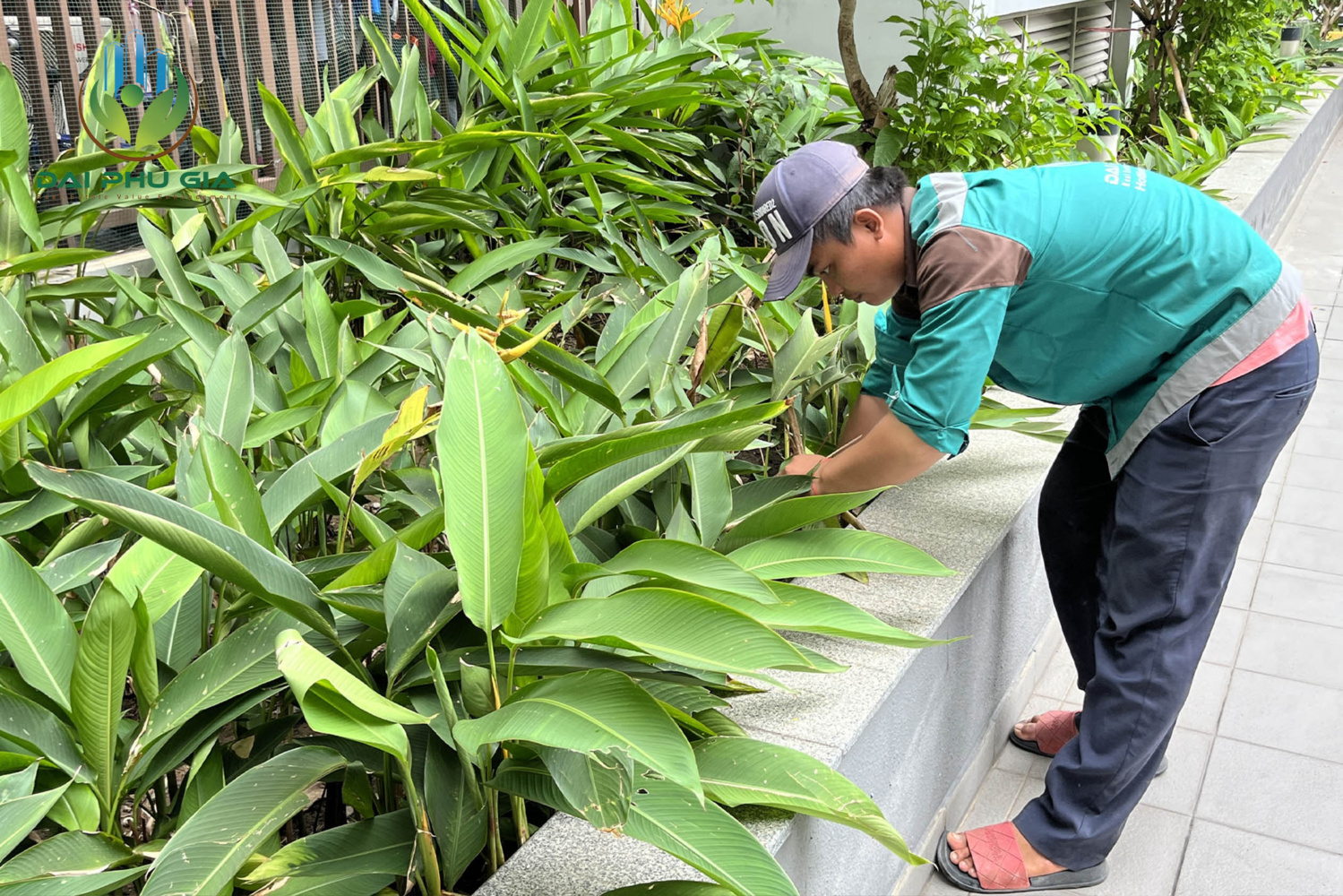 Bảo Dưỡng Cảnh Quan Sân Vườn 11