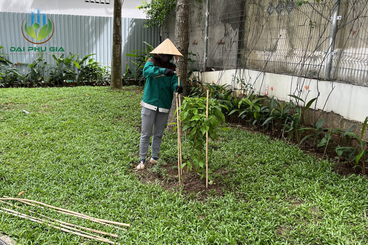 Bảo Dưỡng Cảnh Quan Sân Vườn 3