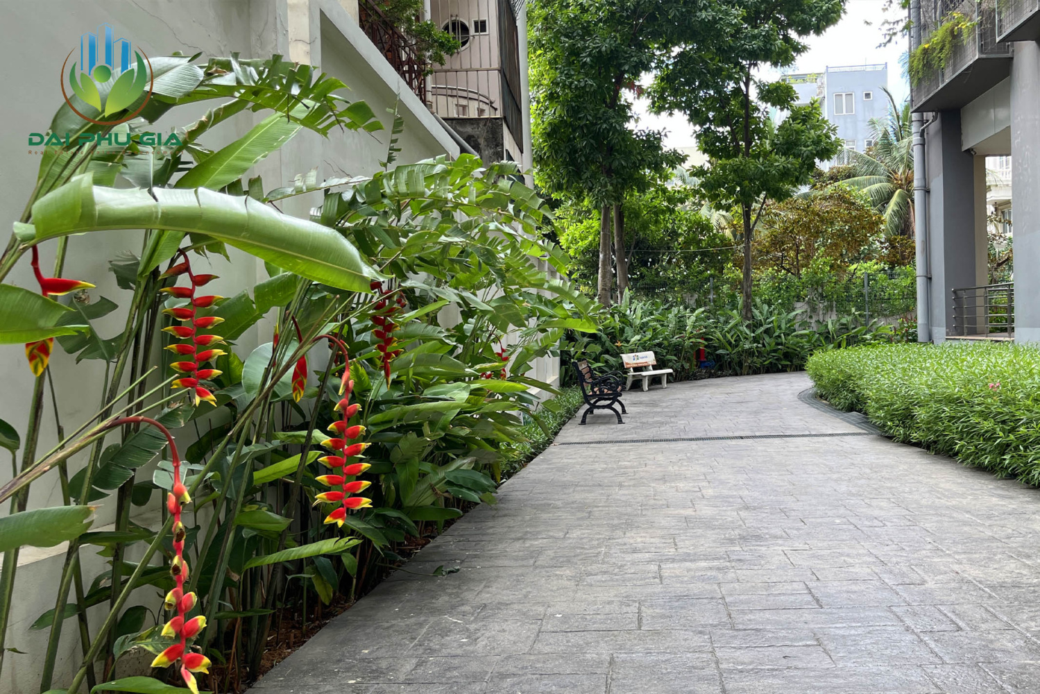 Bảo Dưỡng Cảnh Quan Sân Vườn 5 Bảo Dưỡng Cảnh Quan Sân Vườn 5