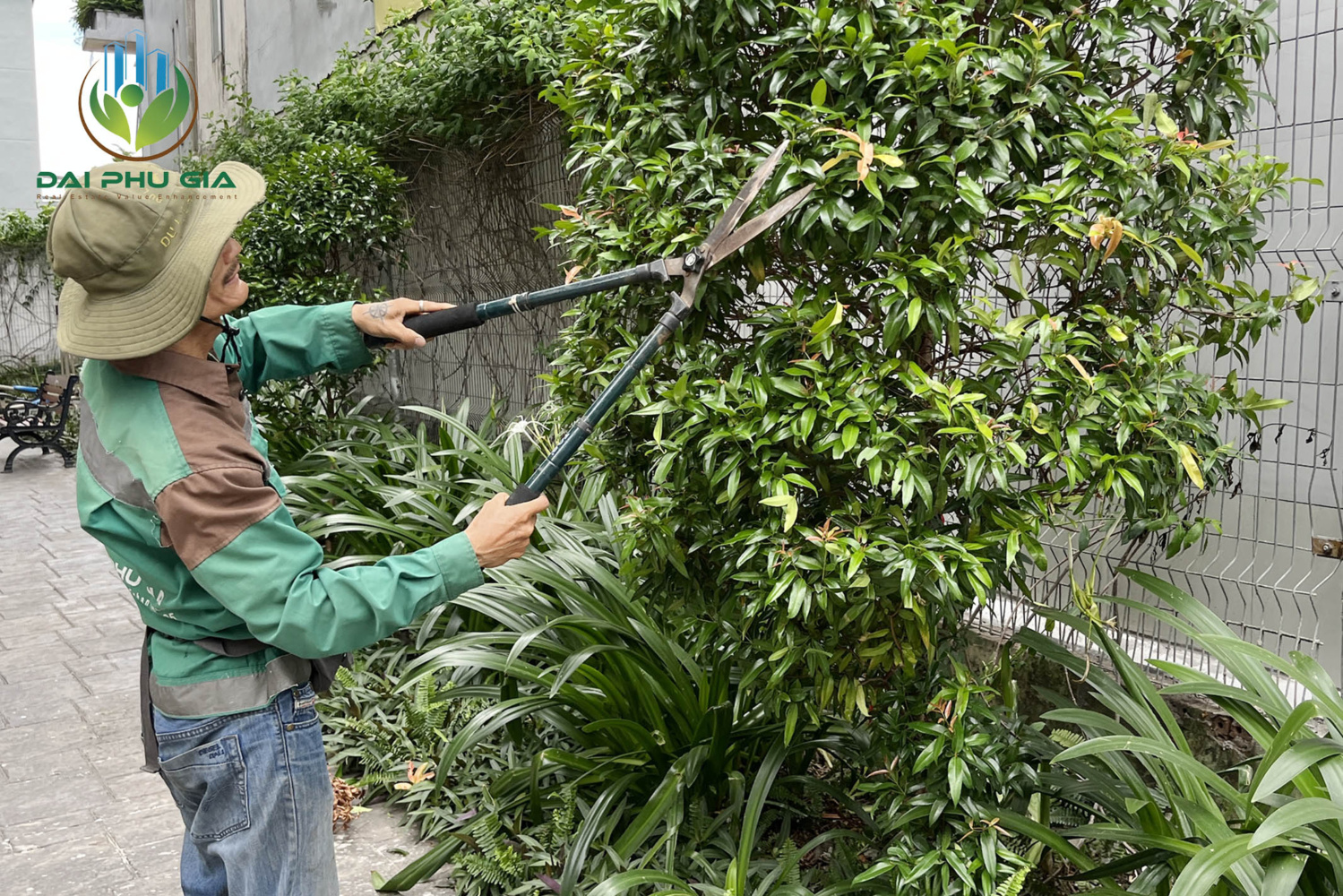 Bảo Dưỡng Cảnh Quan Sân Vườn 7 Bảo Dưỡng Cảnh Quan Sân Vườn 7