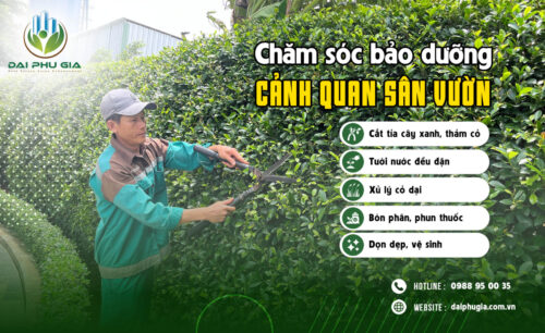 Bảo Dưỡng Cảnh Quan Sân Vườn Copy