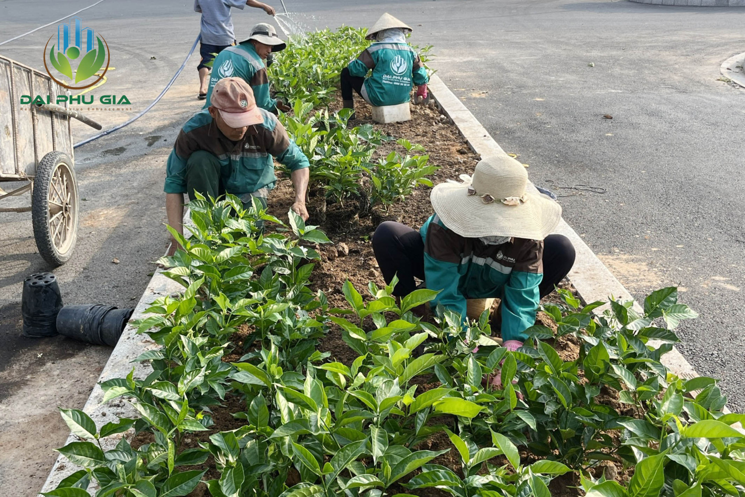 Bảo Dưỡng Cảnh Quan Sân Vườn Trồng Mới Bảo Dưỡng Cảnh Quan Sân Vườn Trồng Mới